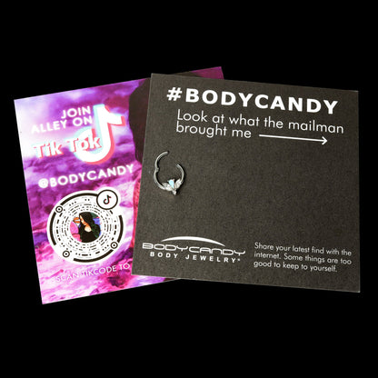 16G 3/8 White Faux Opal Style Flower Hinged Segment Ring