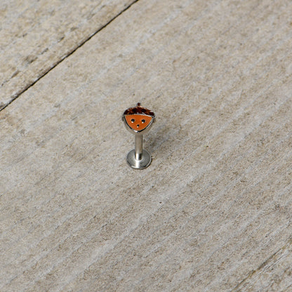 16G 5/16 Acorn Face Brown Autumn Labret Monroe Tragus