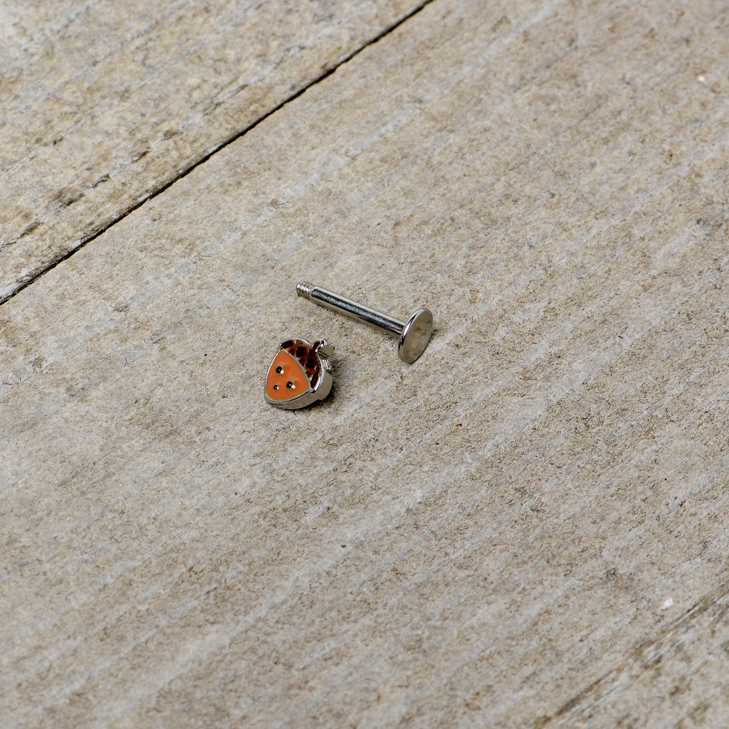 16G 5/16 Acorn Face Brown Autumn Labret Monroe Tragus