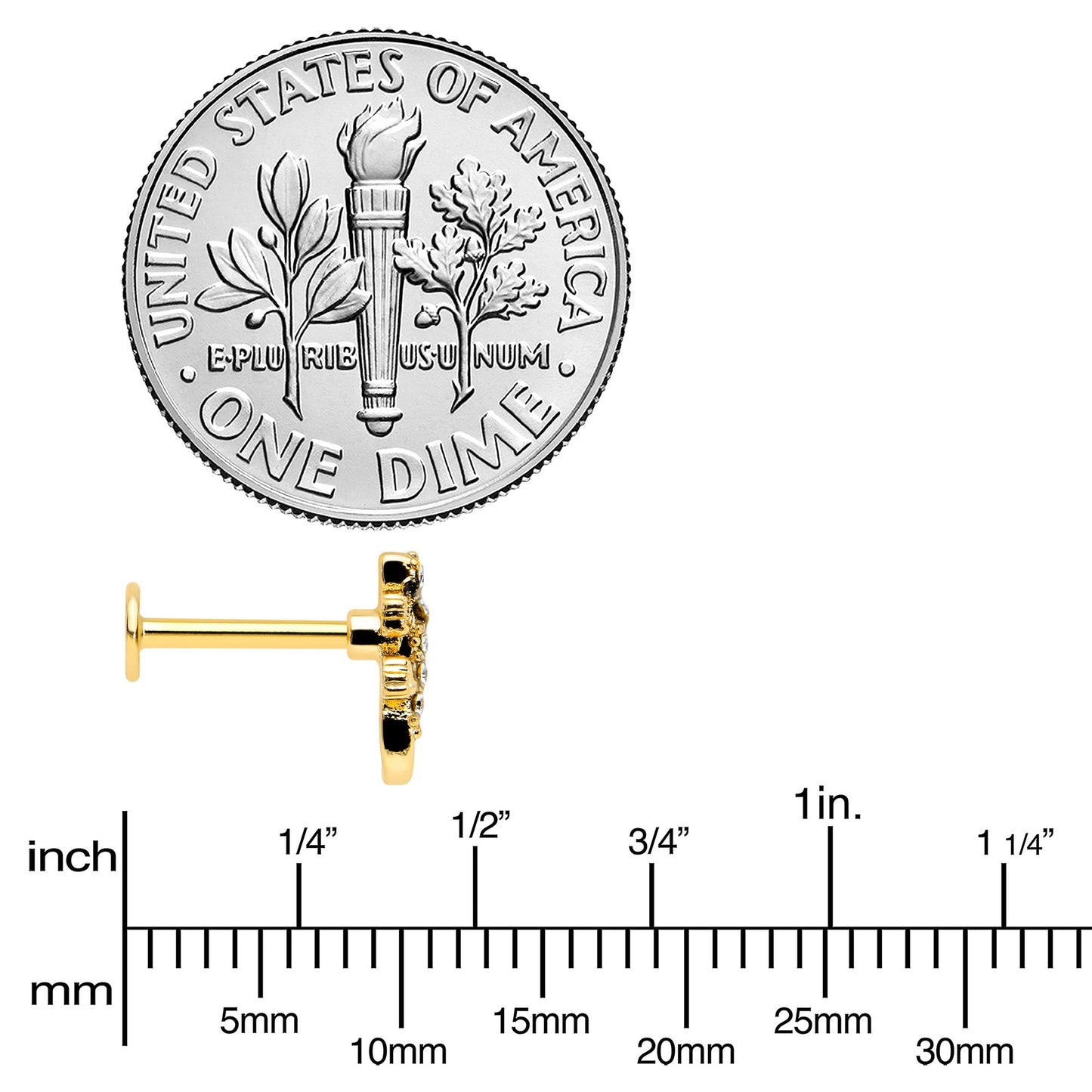 16G 5/16 Clear Gem Gold Tone Luscious Lizard Labret Monroe Tragus