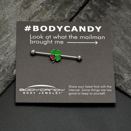 14G Ladybug Shamrock St Patricks Day Industrial Barbell 38mm