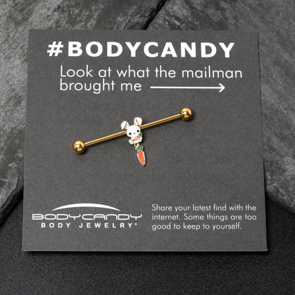 14G Gold Tone Cutie Easter Bunny Dangle Industrial Barbell 38mm