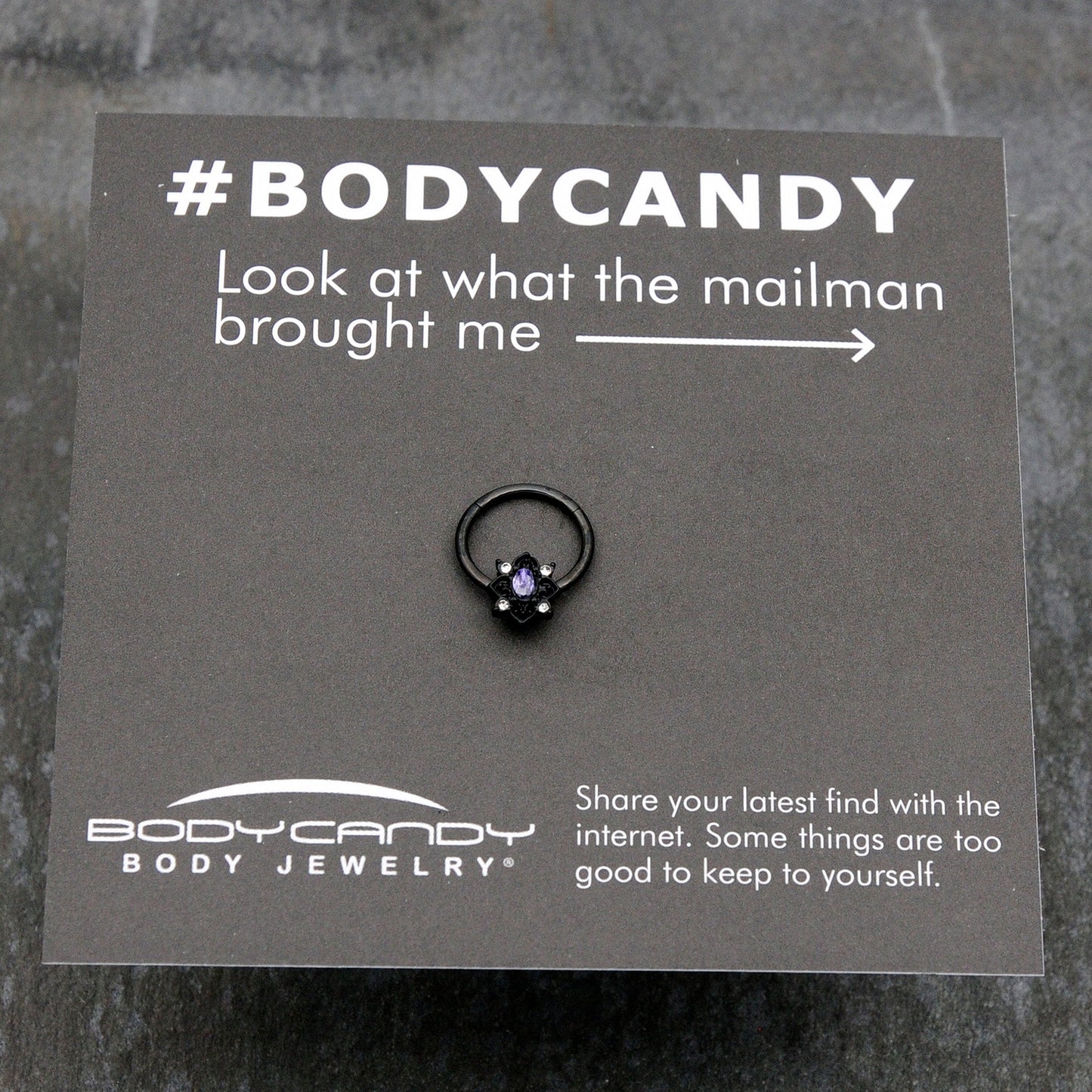 16G 3/8 Purple Gem Black Scrolling Hearts Hinged Segment Ring