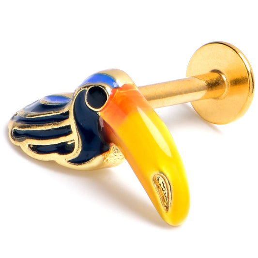 16G 5/16 Gold Tone Tropical Toucan Labret Monroe Tragus