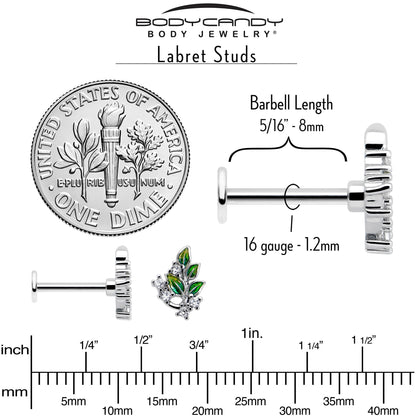 16G 5/16 Clear CZ Gem Morning Leaves Labret Monroe Tragus