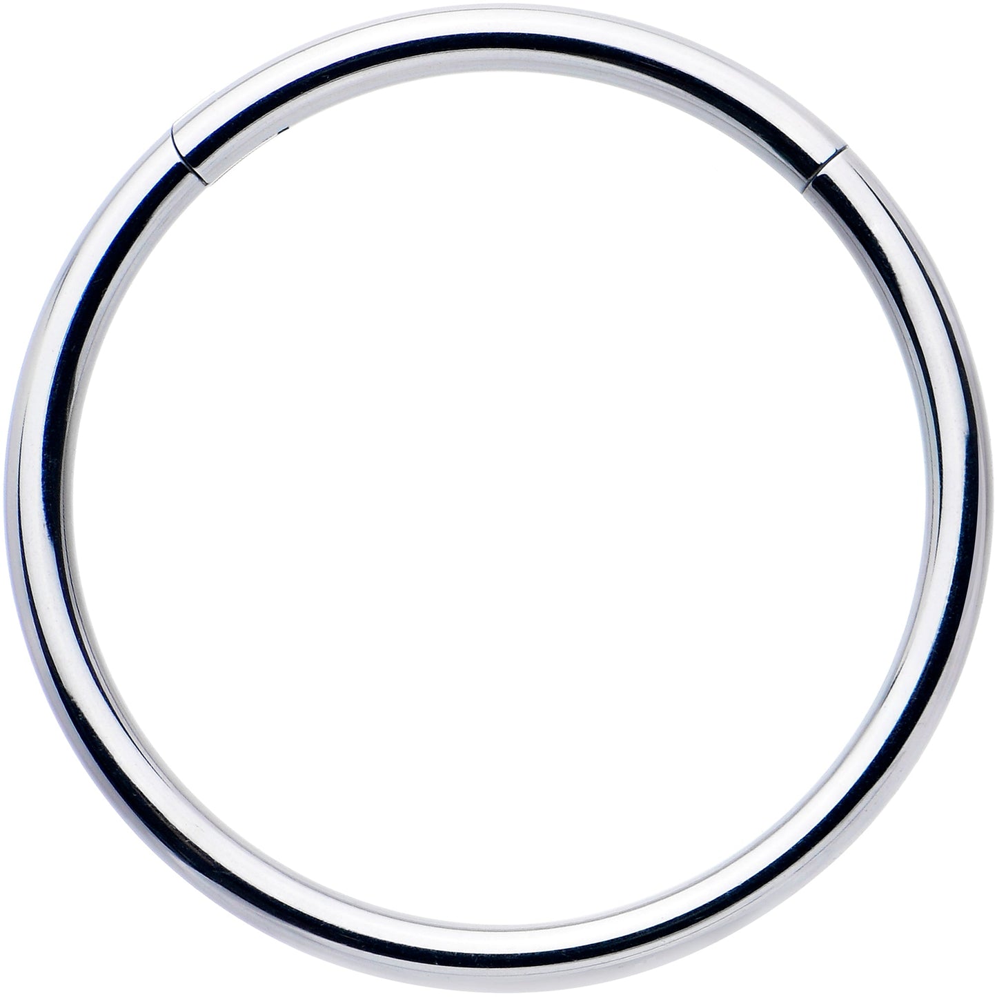 16G 9/16 316L Surgical Steel Precision Hinged Segment Hoop