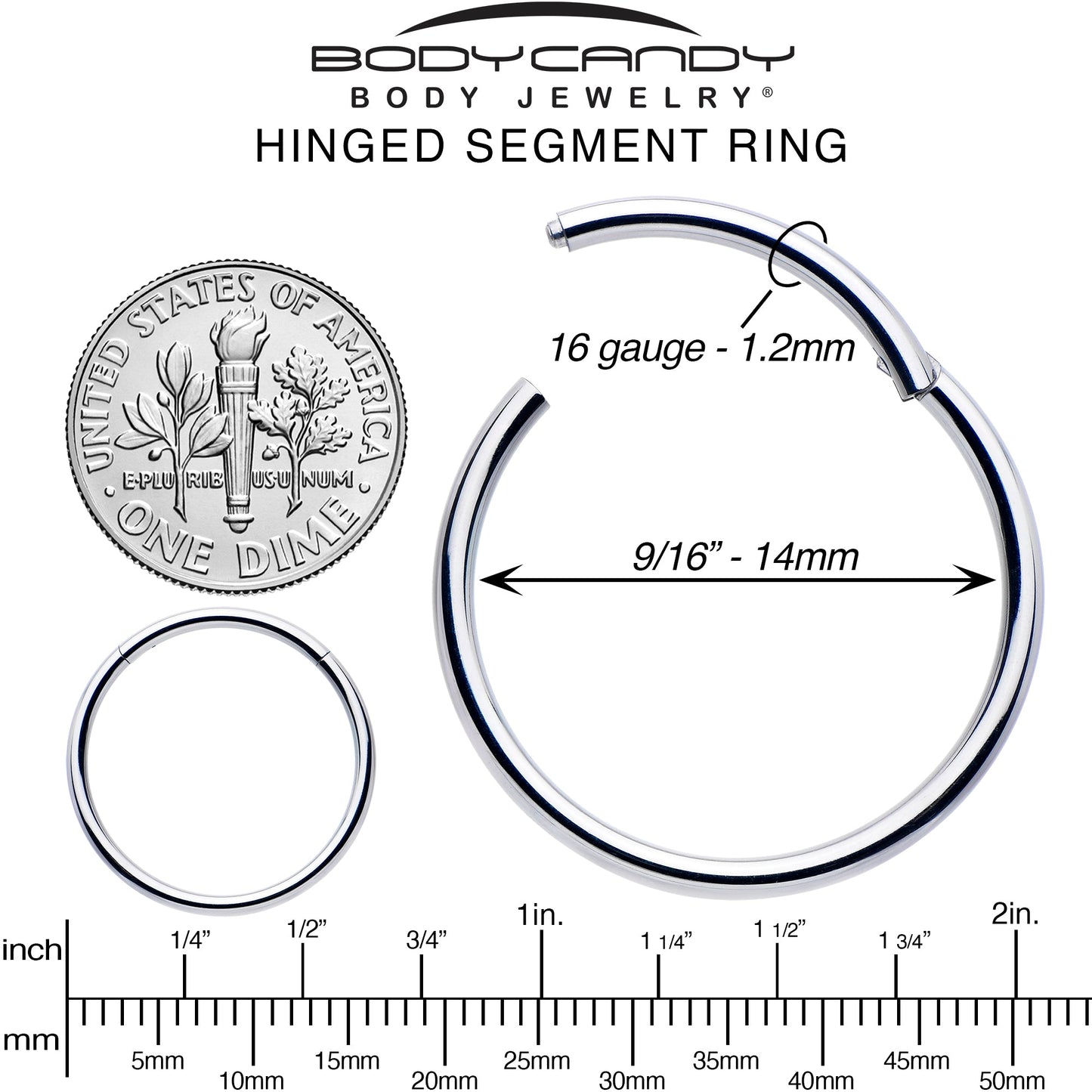 16G 9/16 316L Surgical Steel Precision Hinged Segment Hoop
