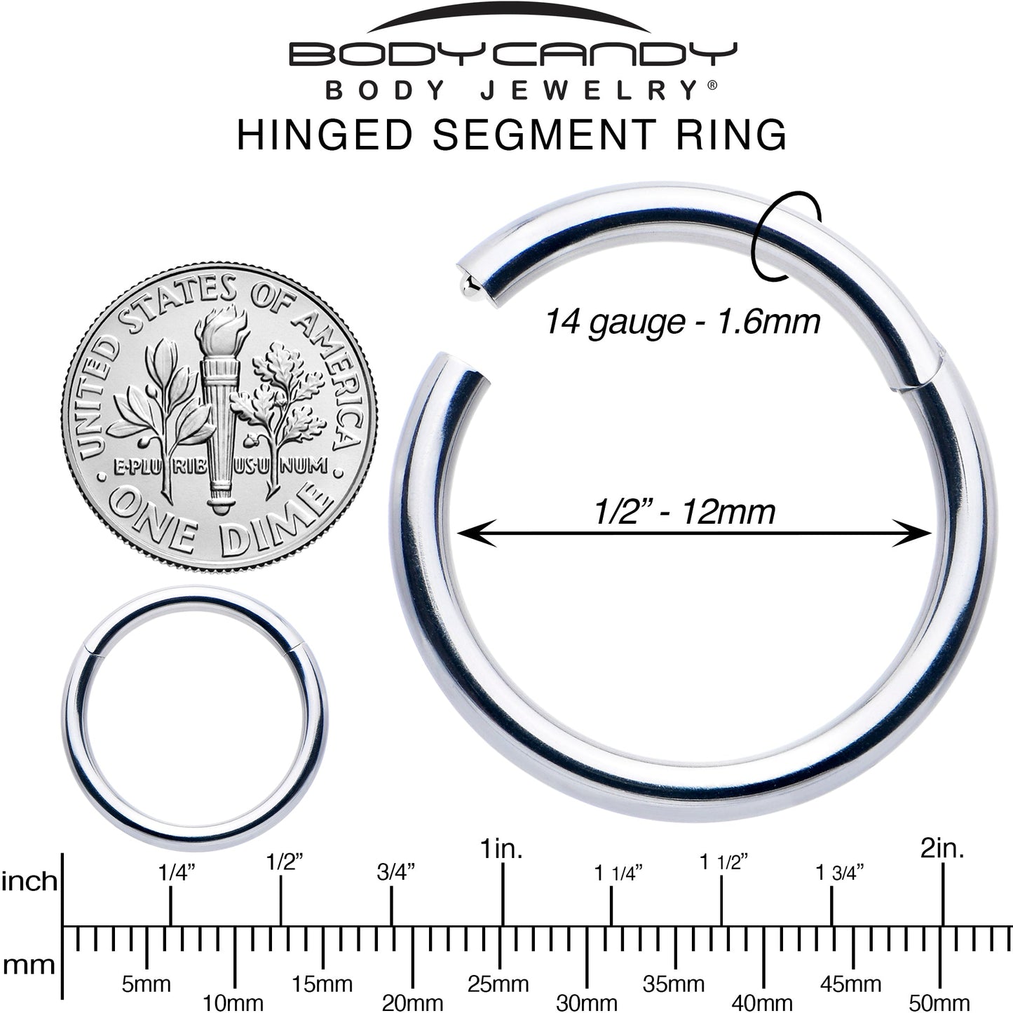 14G 1/2 316L Surgical Steel Precision Hinged Segment Hoop