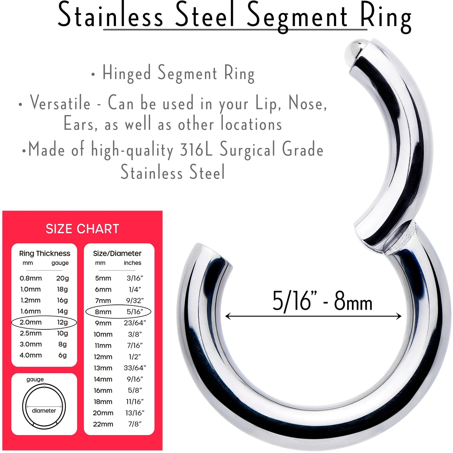 12G 5/16 316L Surgical Steel Precision Hinged Segment Hoop