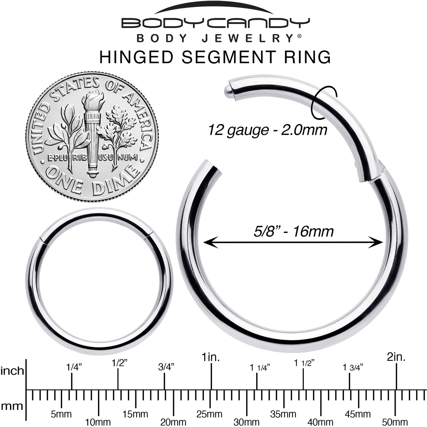 12G 5/8 316L Surgical Steel Precision Hinged Segment Hoop