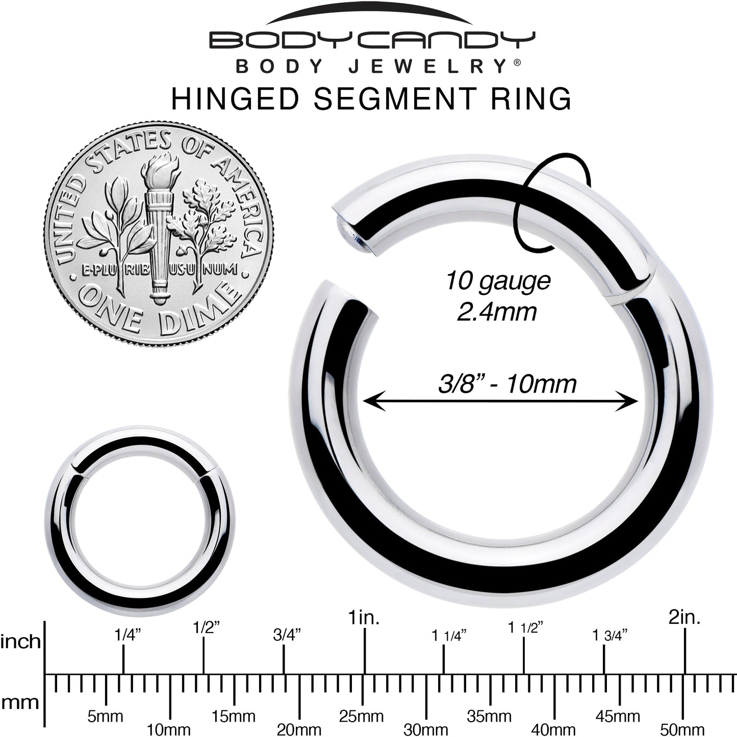 10G 3/8 316L Surgical Steel Precision Hinged Segment Hoop