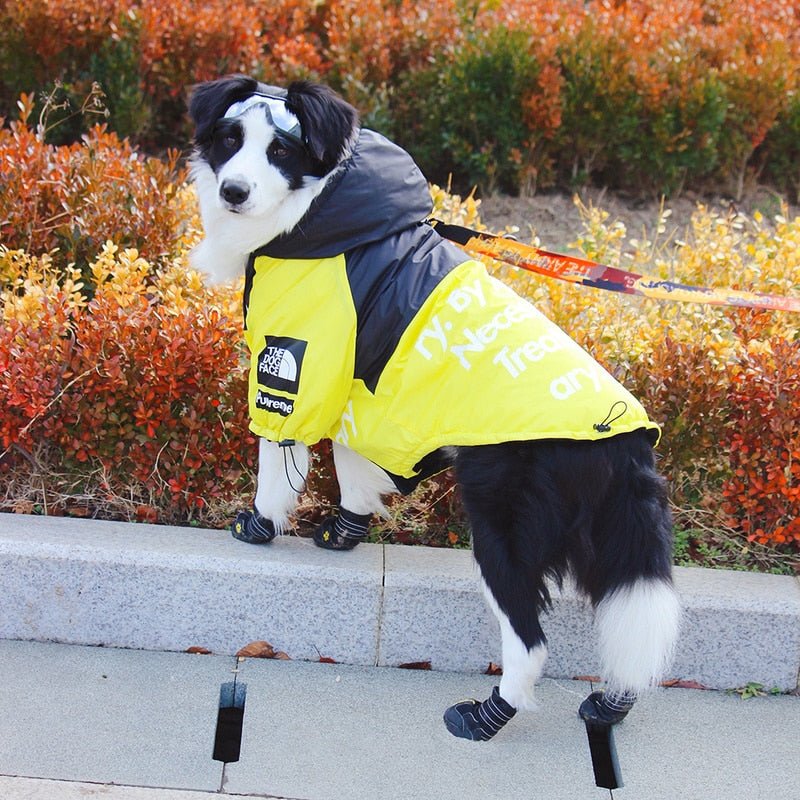 The Dog Face Windproof Waterproof Reflective Pet Cat Dog Jacket - Jaico Online Shop