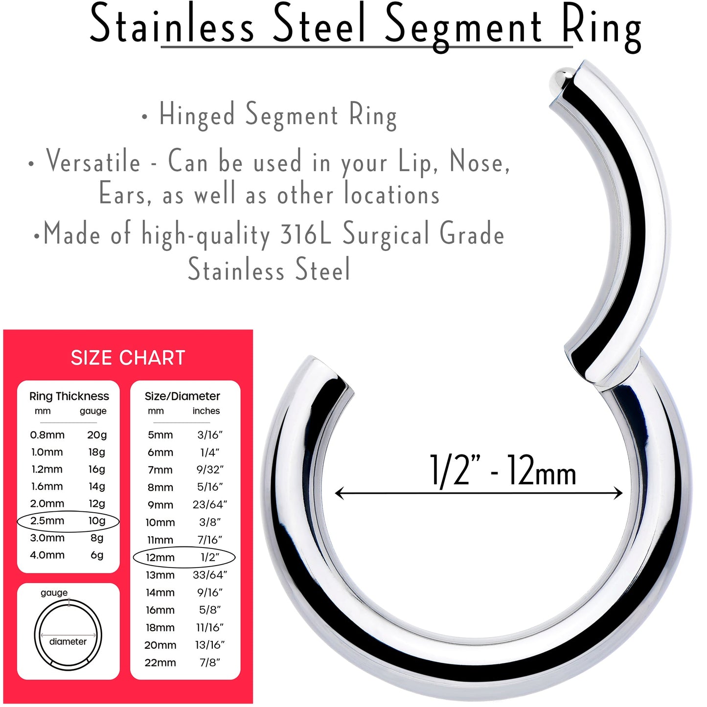 10G 1/2 316L Surgical Steel Precision Hinged Segment Hoop