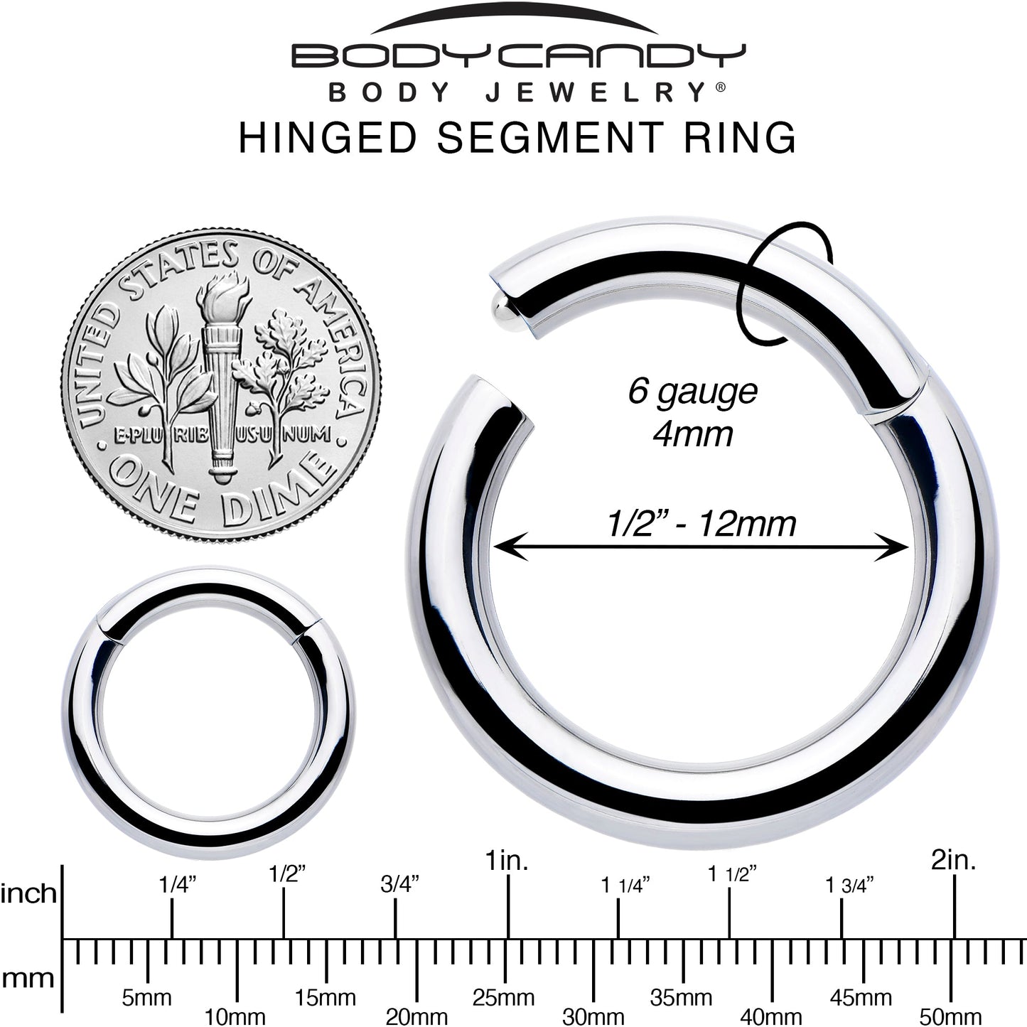 10G 1/2 316L Surgical Steel Precision Hinged Segment Hoop