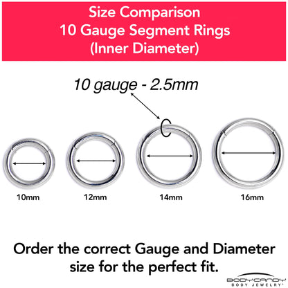 10G 1/2 316L Surgical Steel Precision Hinged Segment Hoop