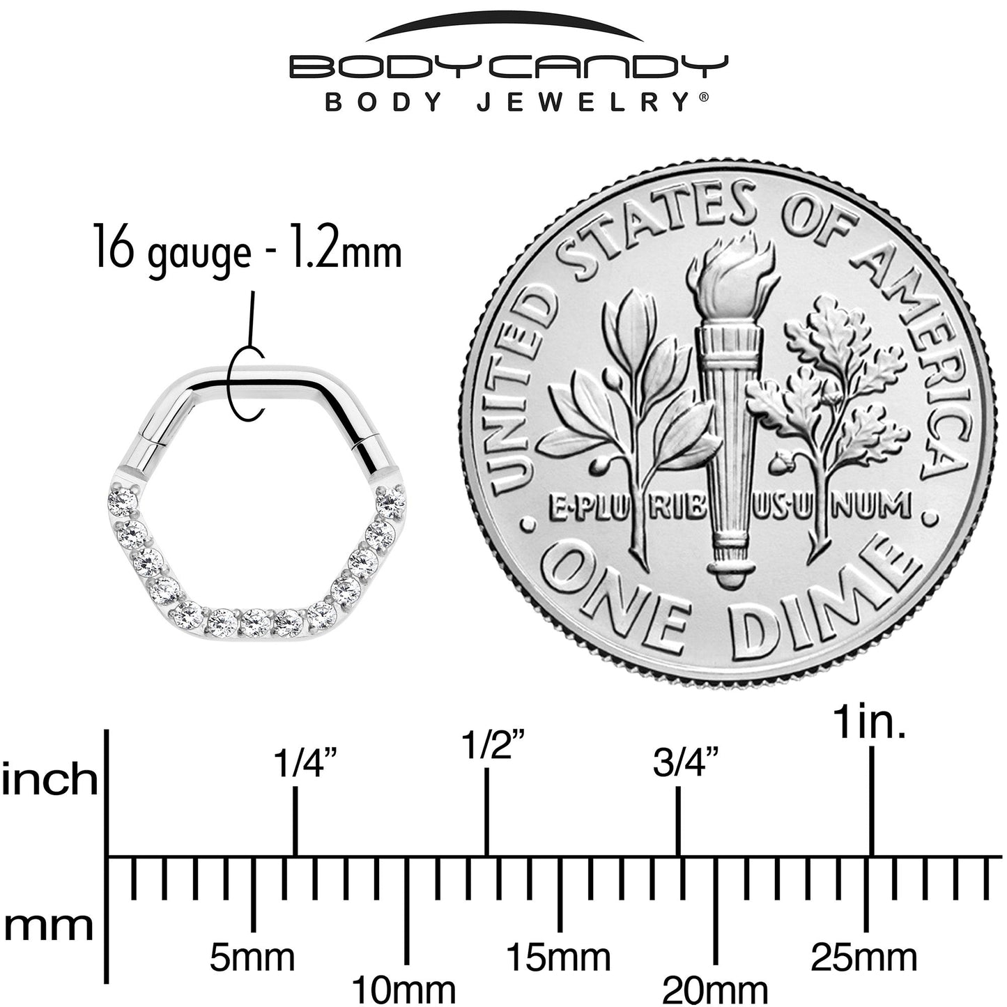 16G 5/16 Clear CZ Gem Hexagon Shape Hinged Segment Ring