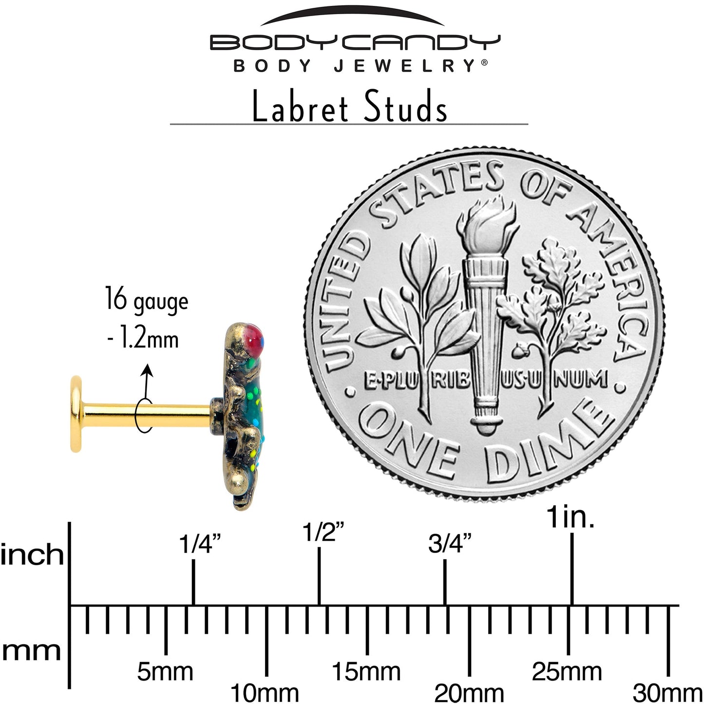 16G Frog Flat Back Earring Set Internally Threaded 3 Pack