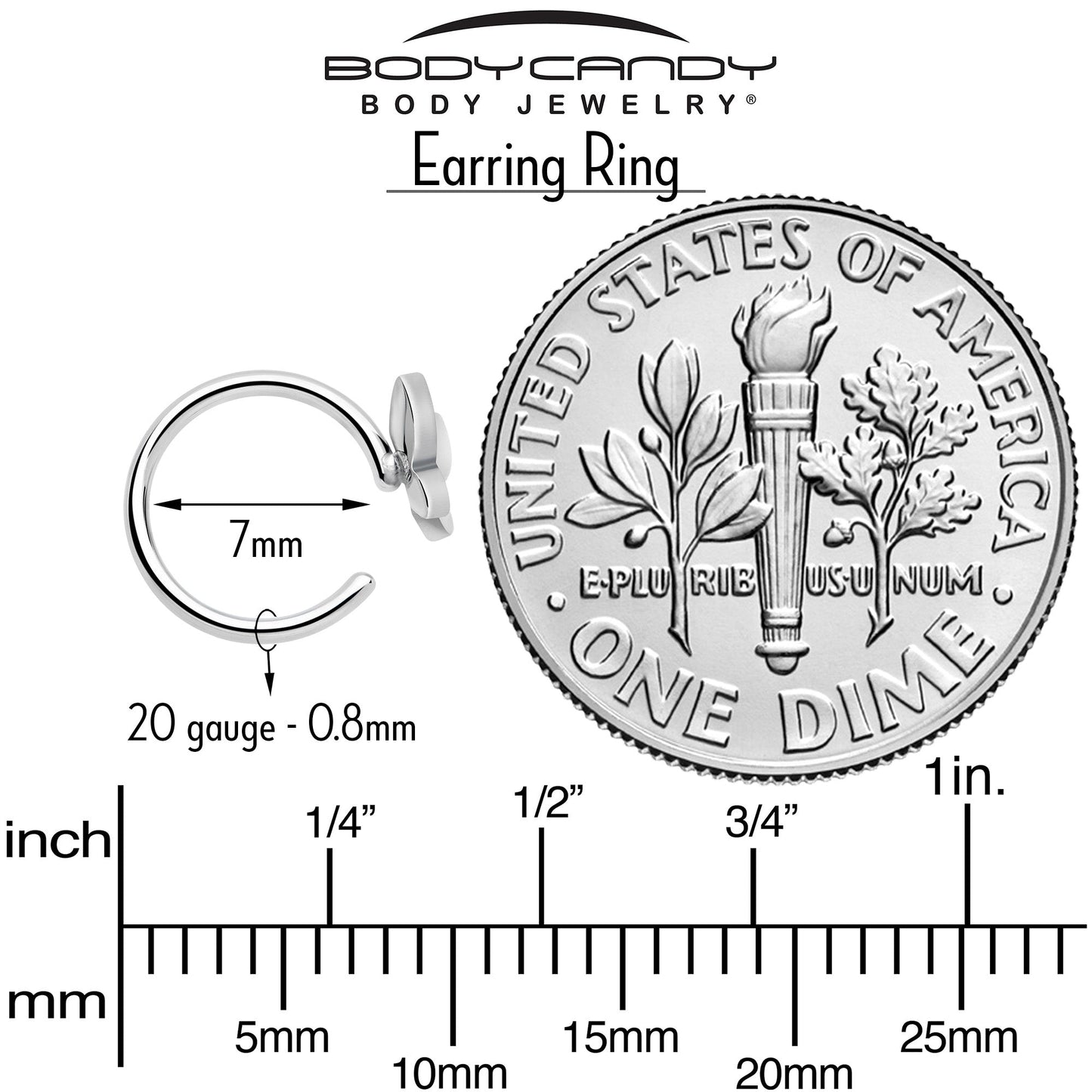 20G Implant Grade Titanium Butterfly Open Hoop Earrings