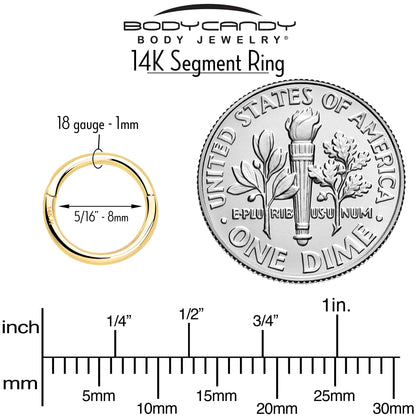 14k Solid Yellow Gold Hinged Segment Ring Elegance 18G 5/16