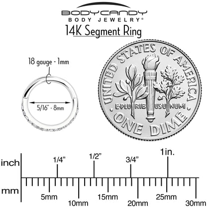 14k Solid White Gold Hinged Segment Ring Forward Facing CZ 18G 5/16