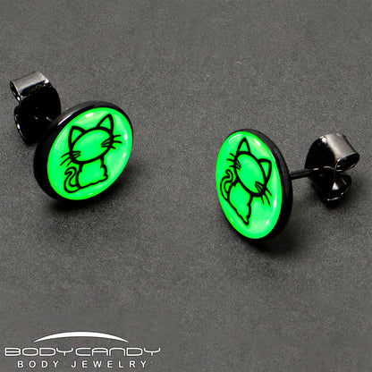 Black Anodized Kitty Cat Glow in the Dark Stud Earrings by Onyx O
