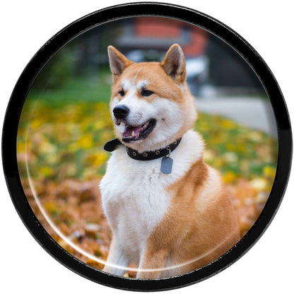 Anodized Black Titanium Custom Photo Screw Fit Plug - buy 2 for a pair