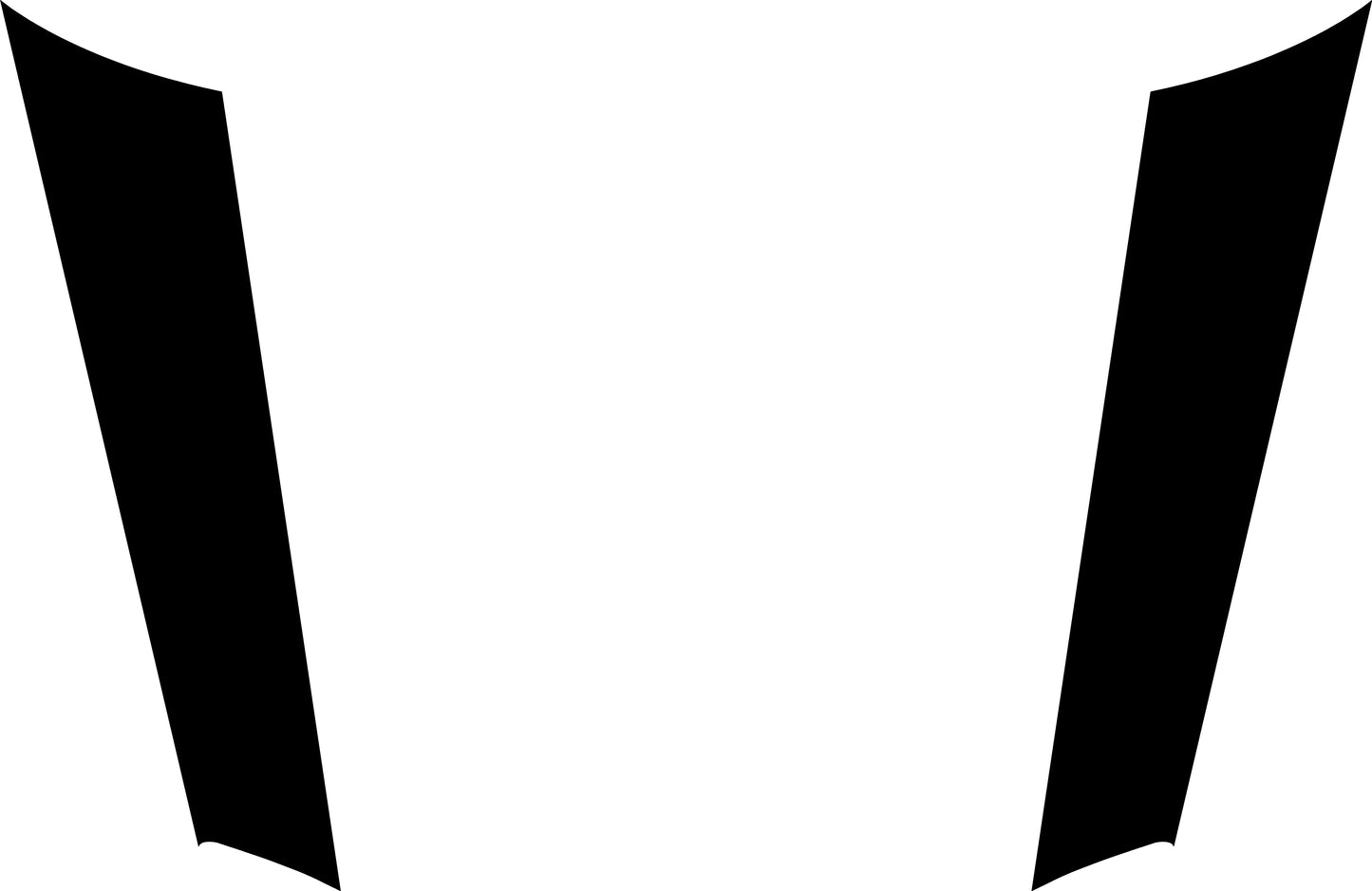 Hood Spear Decals for 2023-2024 Dodge Hornet