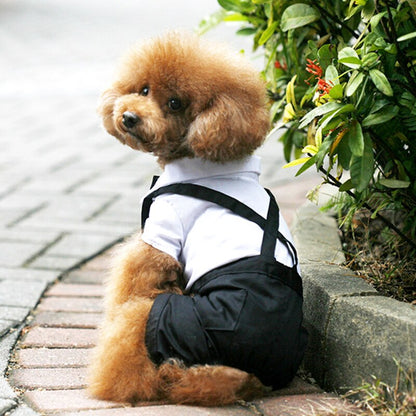 Handsome Stylish Pet Suit with Bow Tie