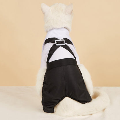 Handsome Stylish Pet Suit with Bow Tie
