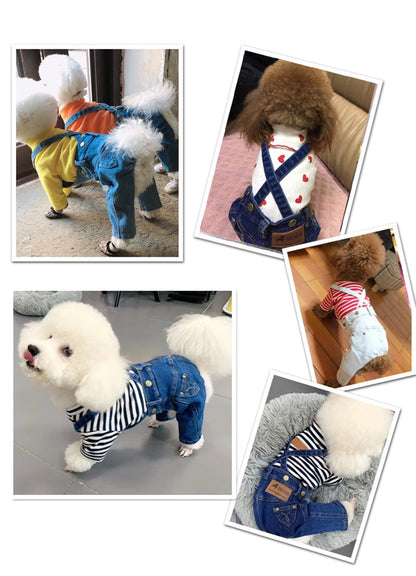 Denim Jumpsuit for Small Pets - Jaico Online Shop