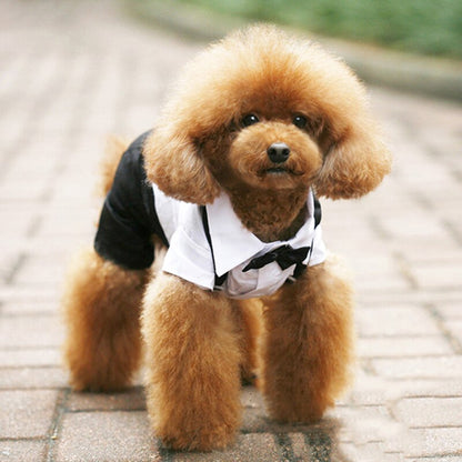 Handsome Stylish Pet Suit with Bow Tie
