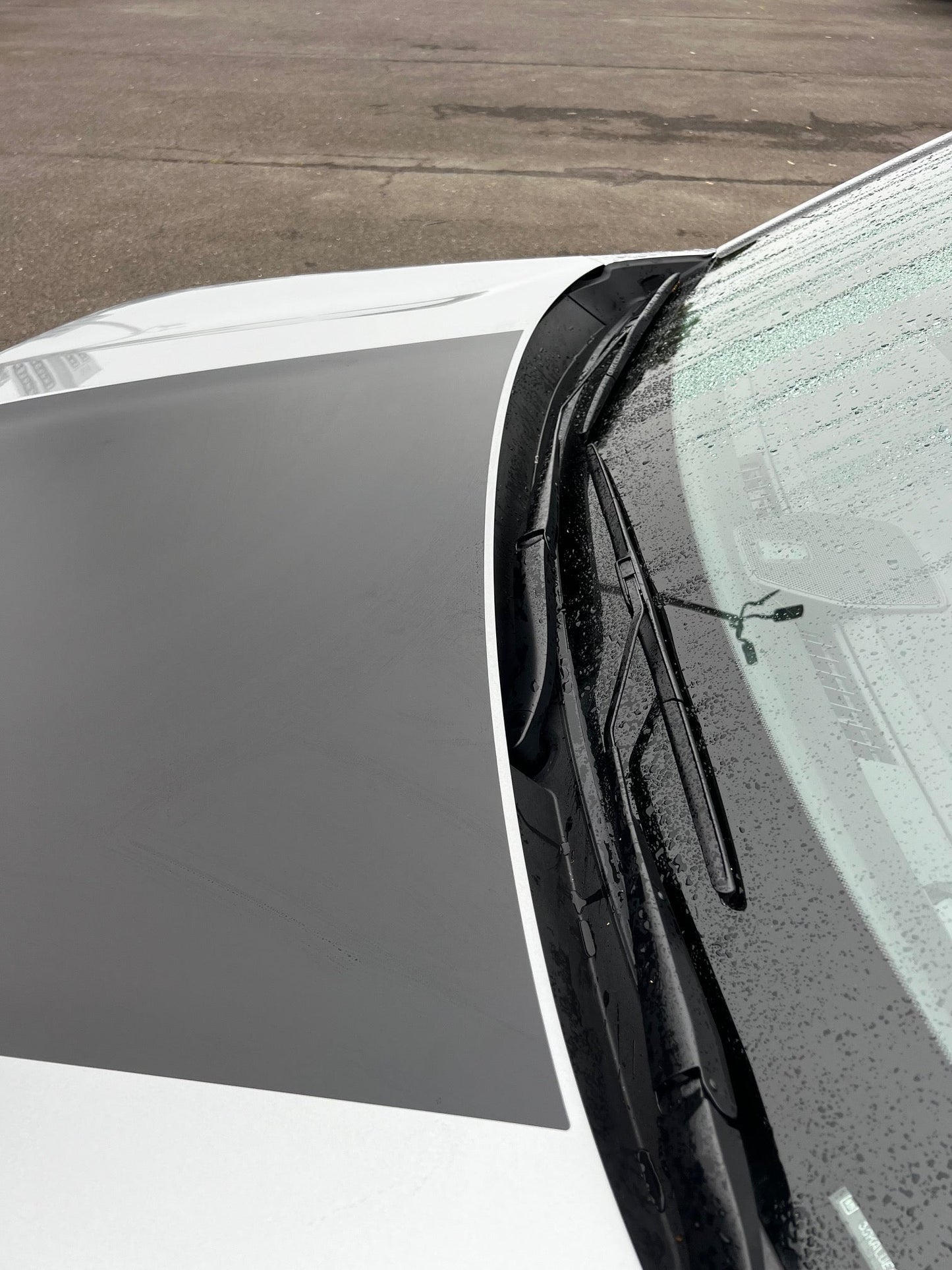 Hood Decal Cover for 2025-2026 GMC Terrain