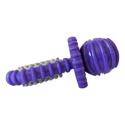 Purple Rubber Dental Pacifier Dog Toy – Ridges, Treat Hole & Durable Design