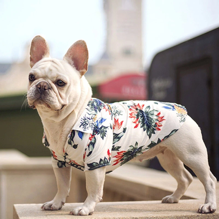 Hawaiian Pet Shirts
