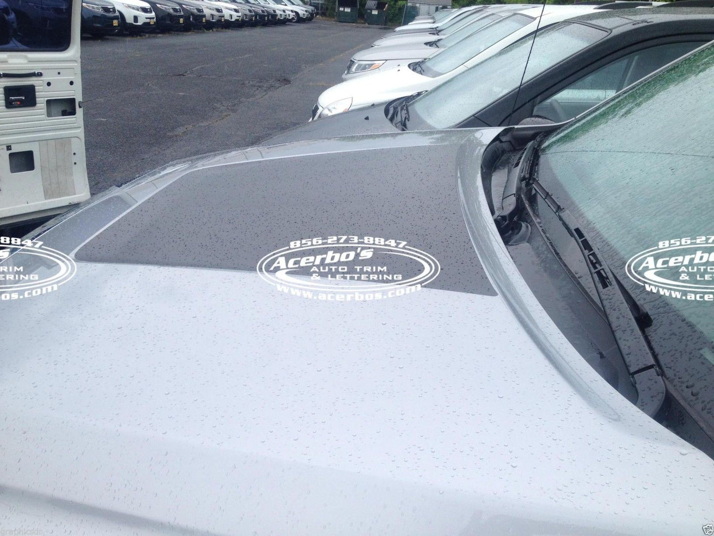 Hood Decal Cover for 2014-2021 Toyota Tundra