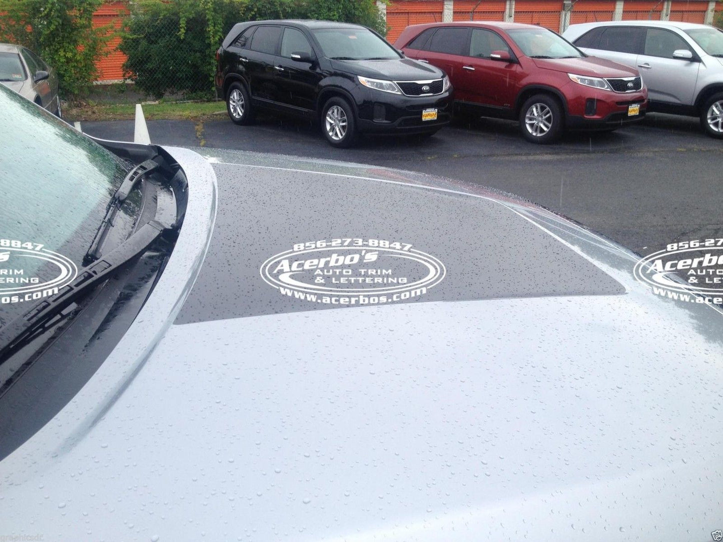 Hood Decal Cover for 2014-2021 Toyota Tundra