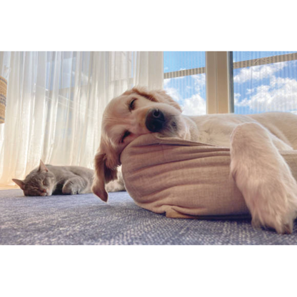 UBAVET UBACALM Calming Soft Chews for Dogs & Cats – Natural Stress & Anxiety Relief