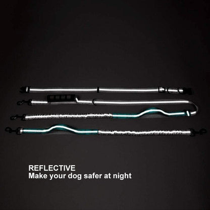 Multifunctional Handsfree Bungee Dog Leash