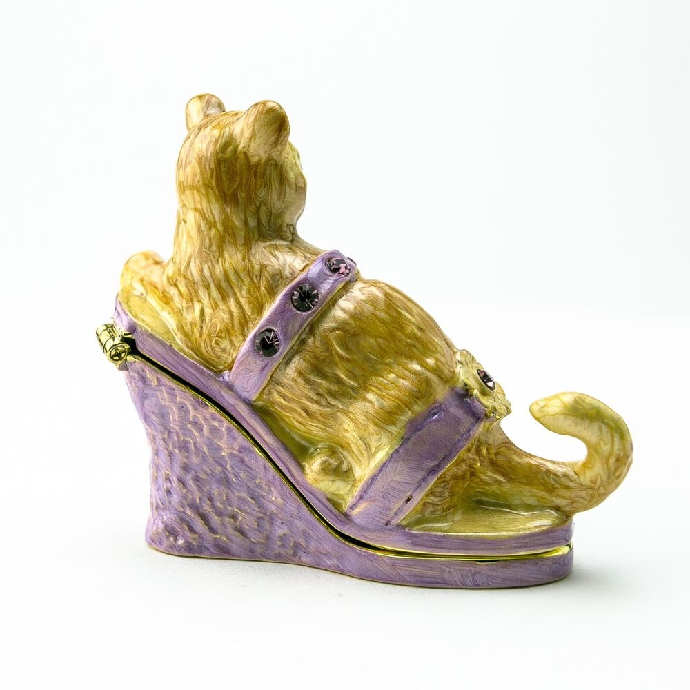 Cat sitting on an Evening Shoe - Jaico Online Shop