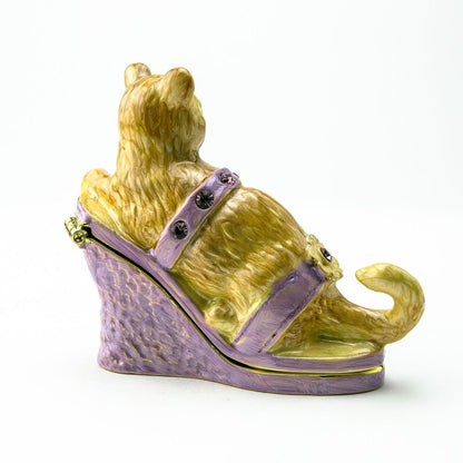 Cat sitting on an Evening Shoe - Jaico Online Shop