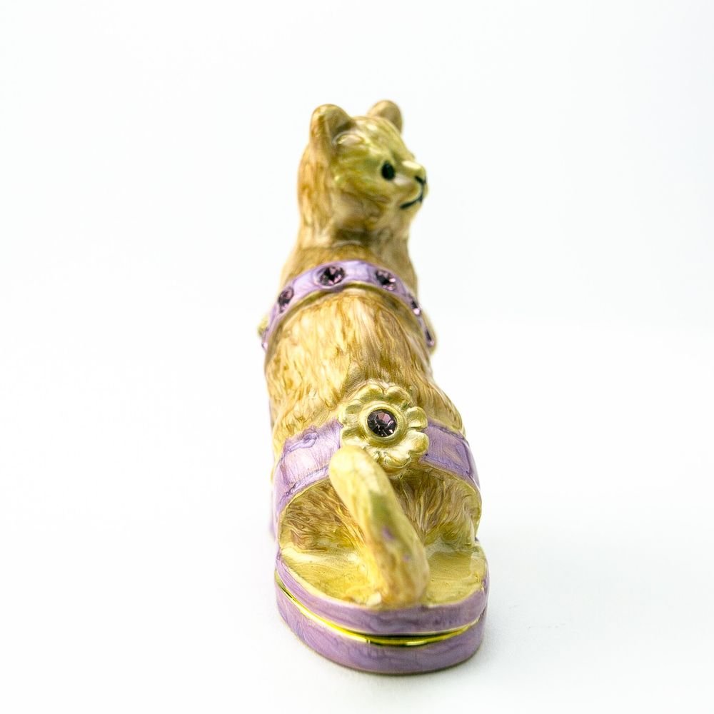 Cat sitting on an Evening Shoe - Jaico Online Shop