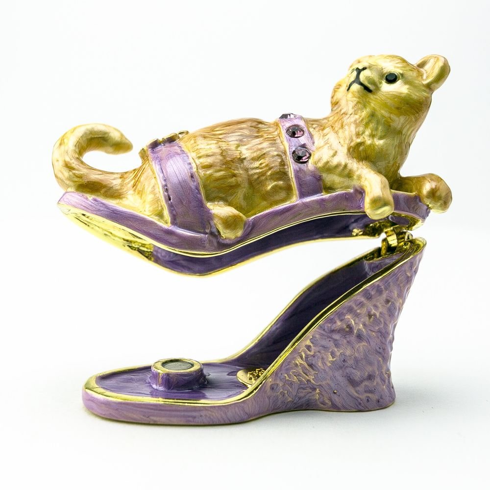 Cat sitting on an Evening Shoe - Jaico Online Shop