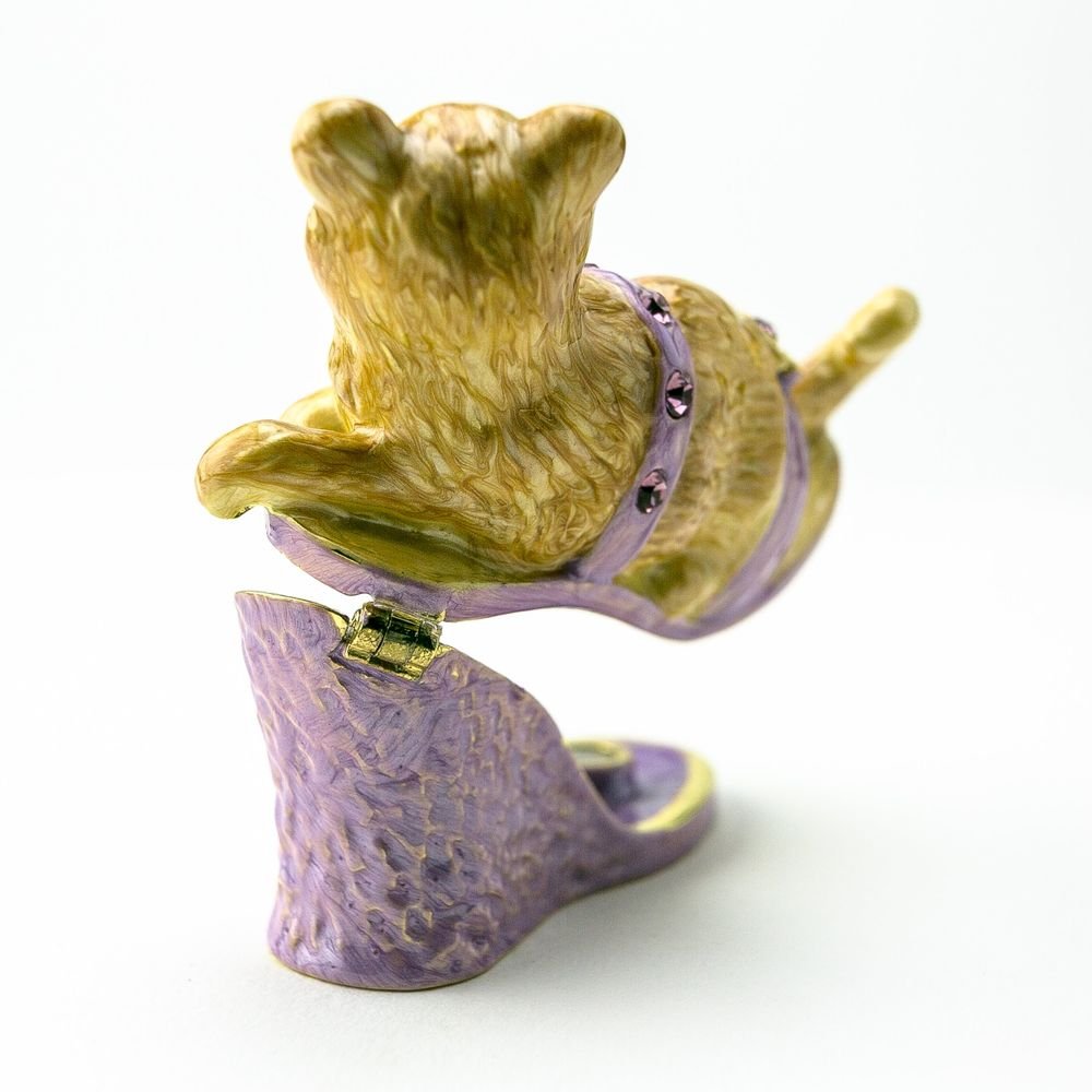 Cat sitting on an Evening Shoe - Jaico Online Shop