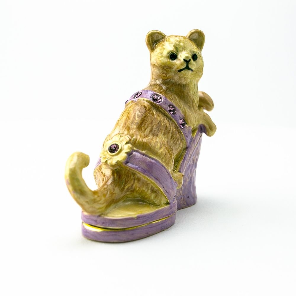 Cat sitting on an Evening Shoe - Jaico Online Shop
