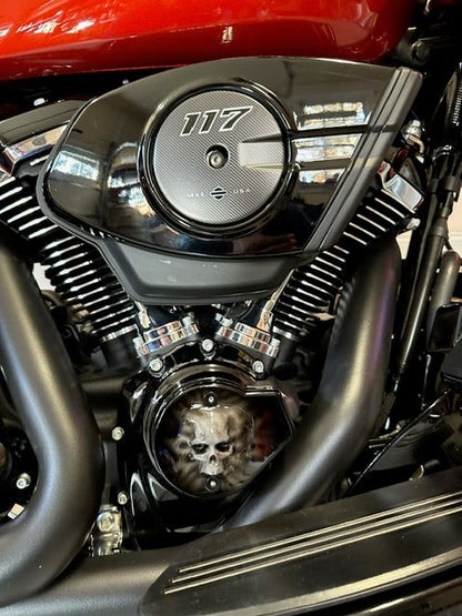 24+ Ancient Skull points cover