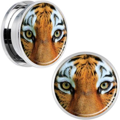 Full Color Tiger Eyes Steel Screw Fit Plug Set 20mm
