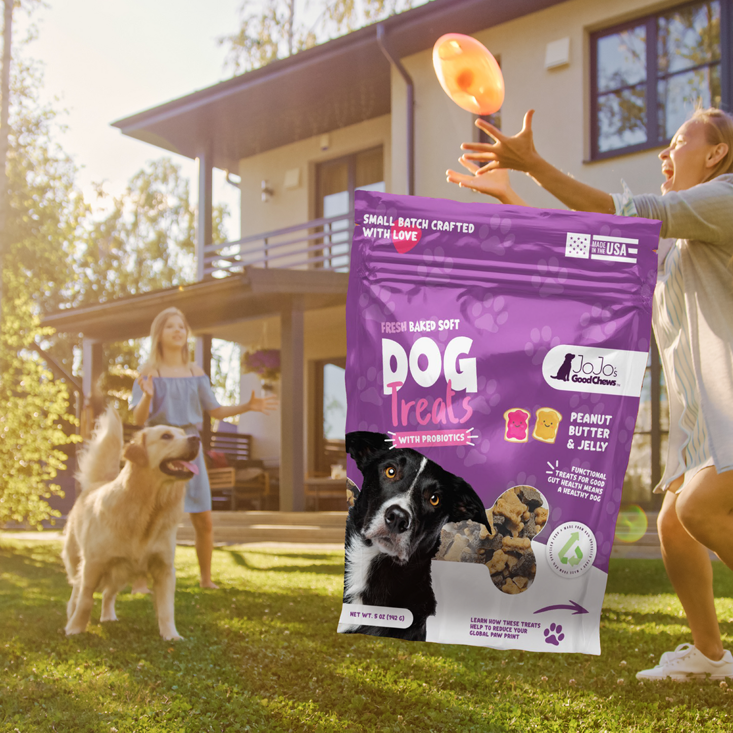 JoJo Good Chews Peanut Butter & Jelly Soft Chew Dog Treats