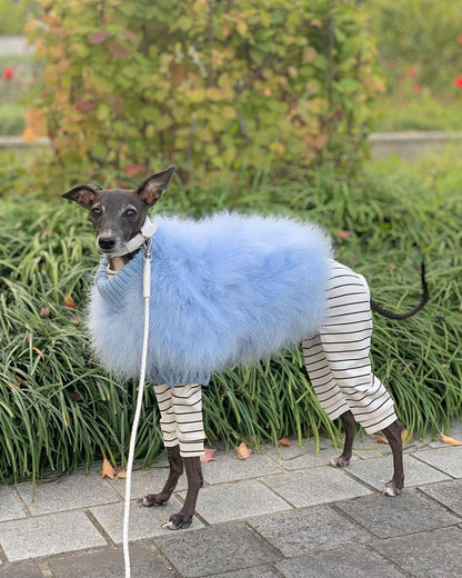 Haute Couture Feathered Luxury Pet Sweater